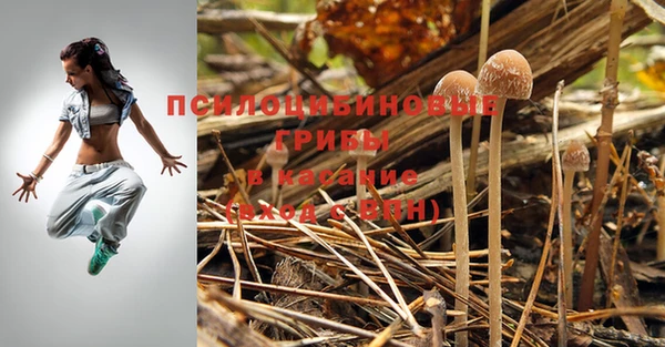 jwh Абинск
