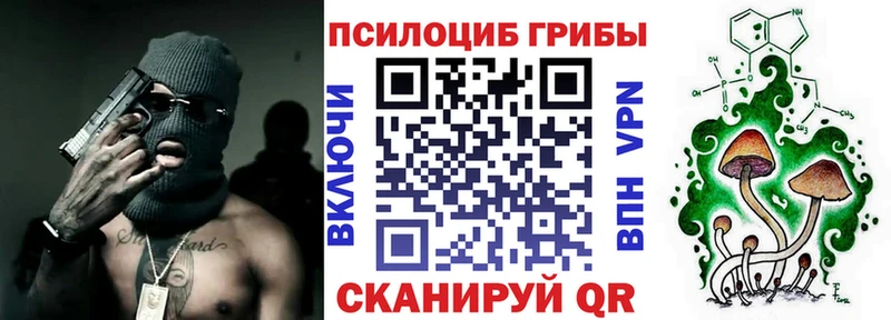 МЕГА как зайти  Балаково  Псилоцибиновые грибы прущие грибы 